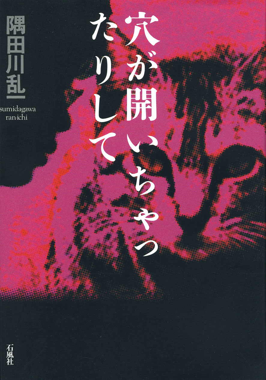 穴が開いちゃったりして　隅田川乱一　美沢真之助　JAM　ジャム　HEAVEN　町田康　石風社　カルト　ドラック　プロレス　神秘
